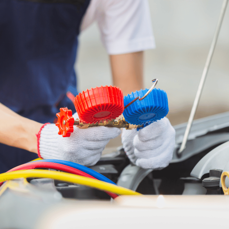 Diseño sin título (4)