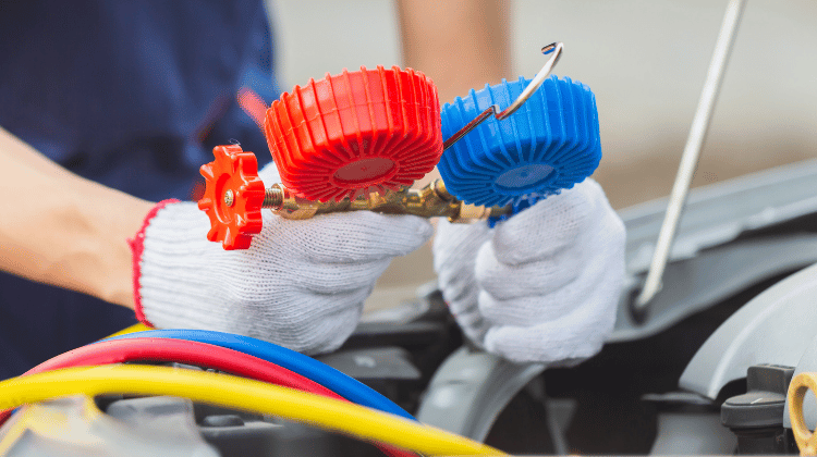 Diseño sin título (5)