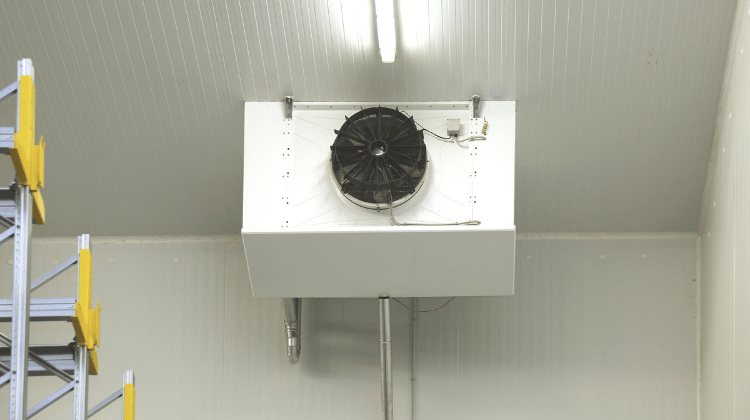 Diseño sin título (6)