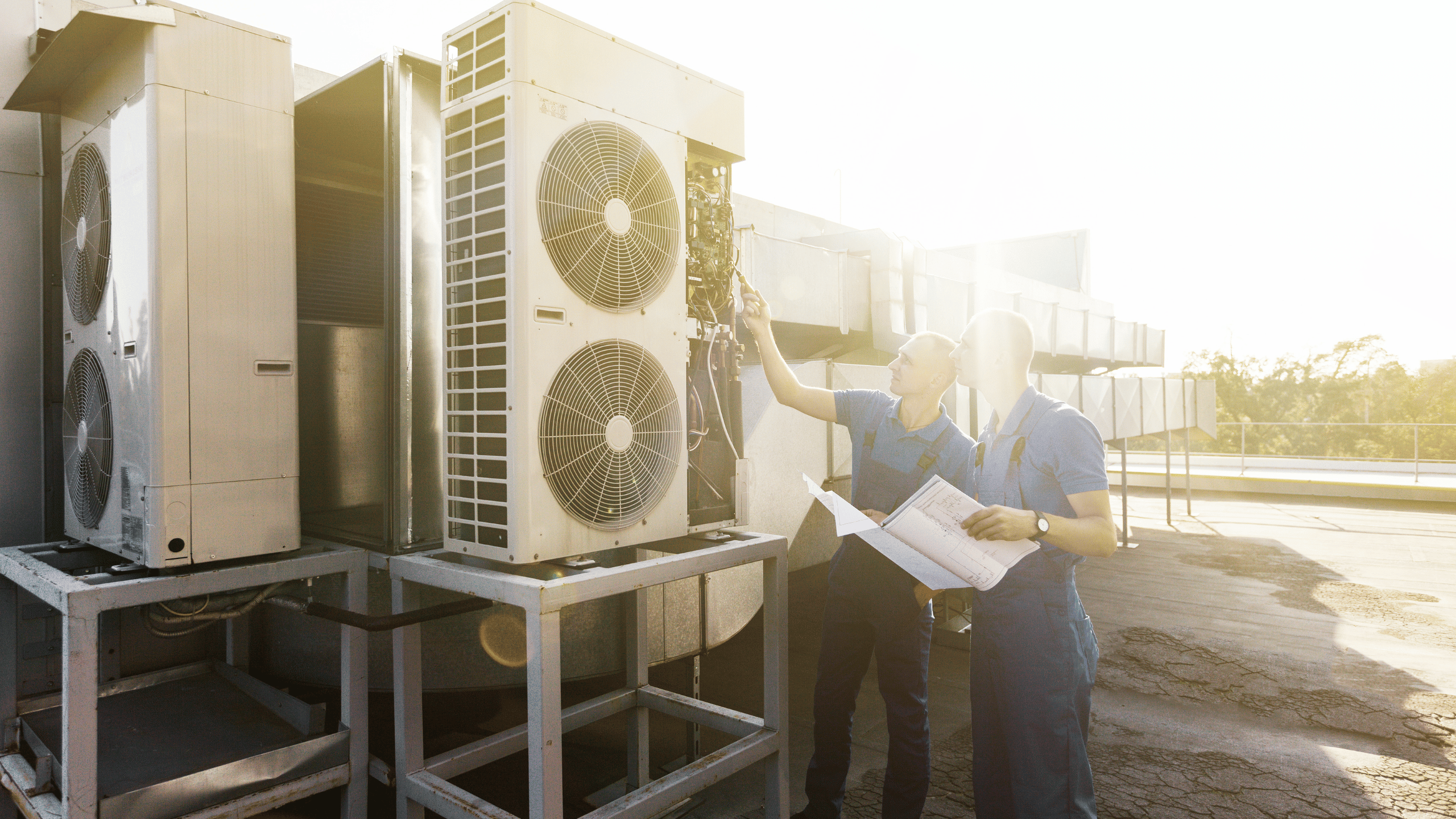 Diseño sin título (7)